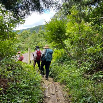 登山口まで戻ってきました