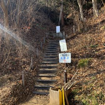 登山口:表参道から昇ります。
暑くて、雨具を脱いで、薄めのフリースプルオーバー1枚。
春の陽気。