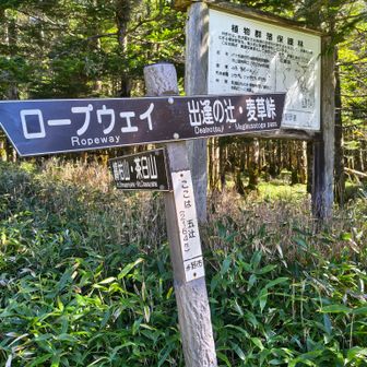 五辻。疲れた。