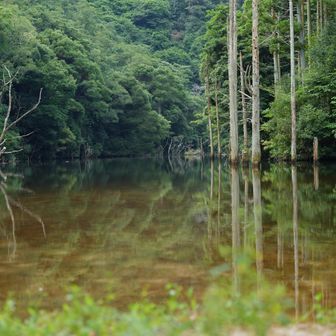 ちょっと水量が少な目