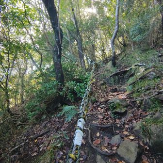 どの山も山頂直下は中々の急登