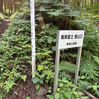 行ってきます！