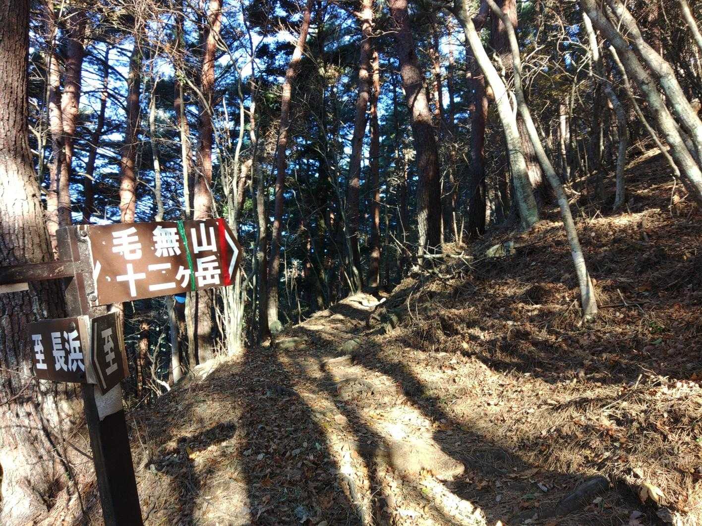 十二ヶ岳⛰️ピークあるけどヤマップ的ピークハントはございません😅
アップダウンが12回あるってことです🧗💨