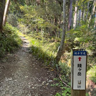 さあ行きます