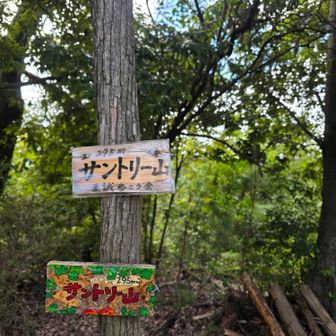名前の由来は単純にちかくにサントリー工場があるからなんやろか？