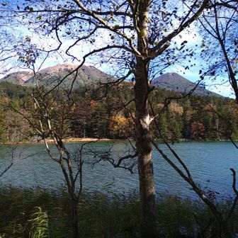 さかな岳