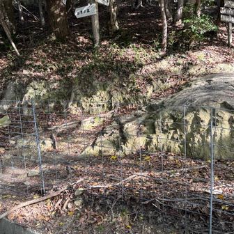 ここの柵の入口がよく見ないとちょっと分かりにくい、すぐ近くにあるんですが・・・