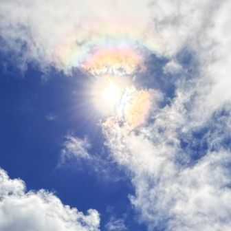 天気が崩れる前兆のハロ〜　
日輪見えてました