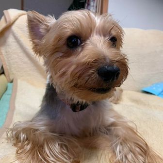 なかのかずや🏃🏃‍♀️