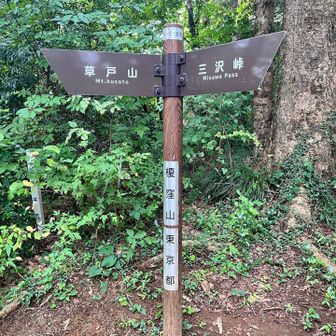 くさと山に向かいます。