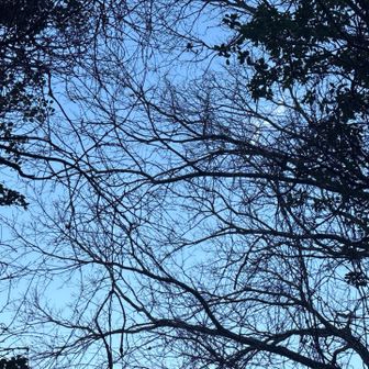 眺望ないので天空を