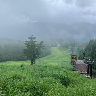 下山中シャワー☔️にあいました😅