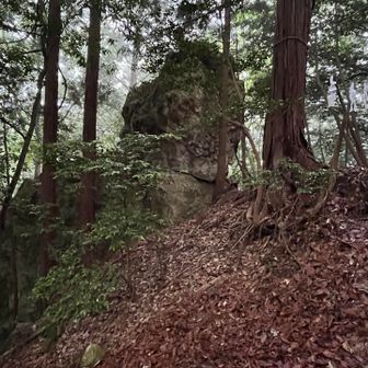だいだら坊の岩🪨