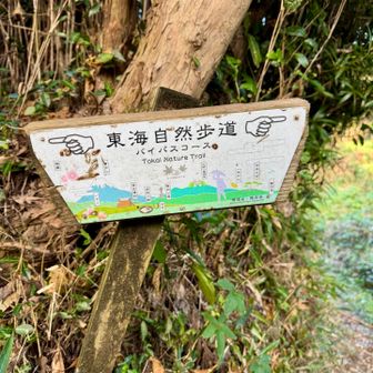 東海自然歩道を歩きます