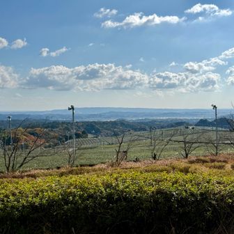 あずまやがあり、この景色を見ながら昼ご飯