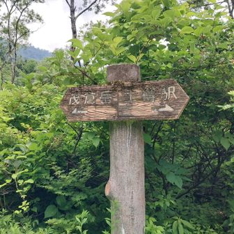 登山口にとうちゃこ〜