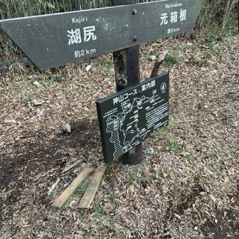 登山口まで戻ってきたら