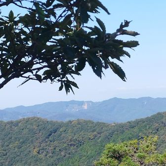 奥のハゲた斜面は滑走路？