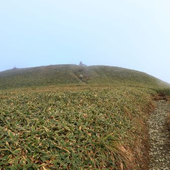 もうすぐ女山山頂