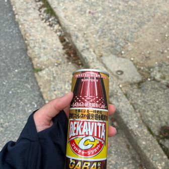急に自販機出てきてチャージした
山で飲む炭酸最高〜