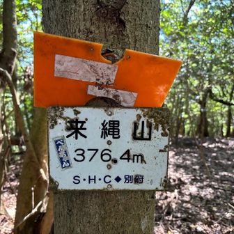 来縄山登頂