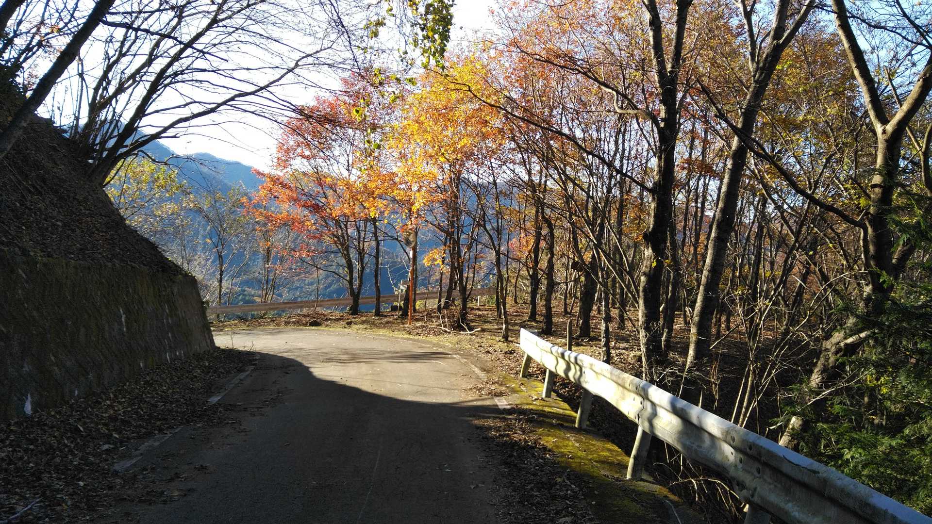いったん舗装路に出ました　この先右に下るのですが看板見過ごし一度ウロウロ