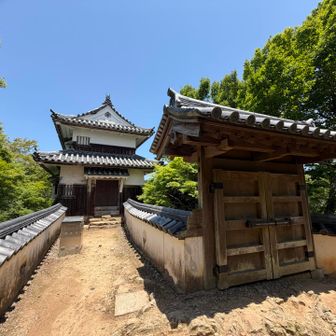 上から見下ろした後ろ側へ行ってみました。