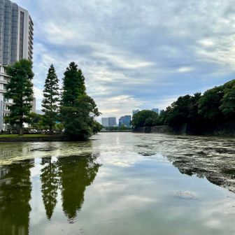 皇居の中に入ったのは初めてでした✨都会の中のオアシス、令和の中の江戸✨時代も環境も対照的な場所がこんなに身近にあったんですね👍

山と庭球さんの「皇居の中って言ったことある？」と何気なく言った一言が今回の参観に繋がりました✨案内してくれてありがとうございました🙇‍♀️

日光の田母沢御用邸、伊勢神宮、なんだか尋ねた場所がいろいろ繋がってきますね😉