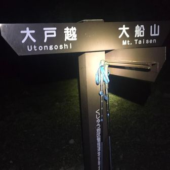 ソロで二時半スタート
深酒寝坊行けないだろう予想😆
賭けには勝ったな🤣
大船はだ～れも会いませんでしたガス😂