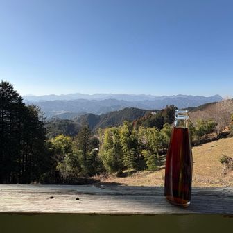 平九郎茶屋でひと休み

秩父コーラ⁉️をいただく

埼玉では有名なんですかぁ
