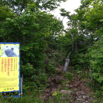 　東栗駒山コースから登ります。