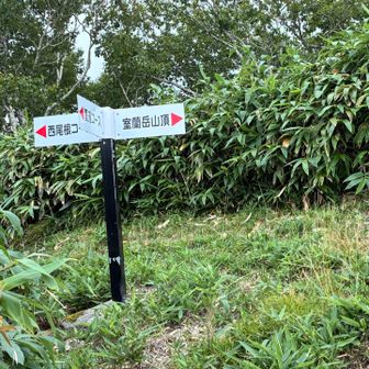 あら、これも新しい⁉︎