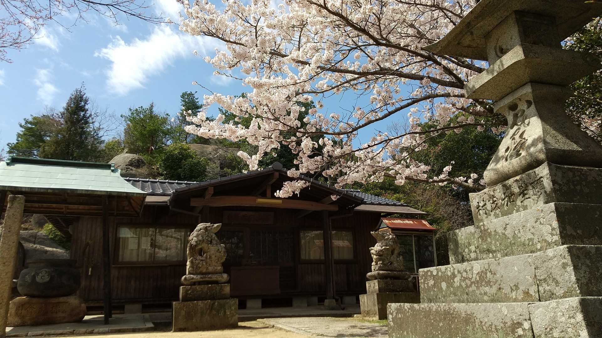 日差神社駐車場も今日は車が5台、展望の良い岩の所で、お花見弁当のようでした。