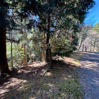 ここ降りれば滑床渓谷