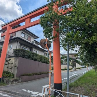 住宅街の中の鳥居。