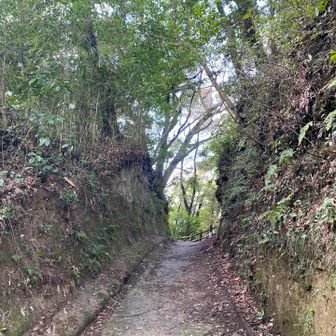 観音堂の裏手にある切り通しから
笠森グリーンルートへ入る