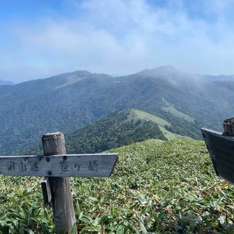 再び稜線に上がると、笹原の美しい景色🍀