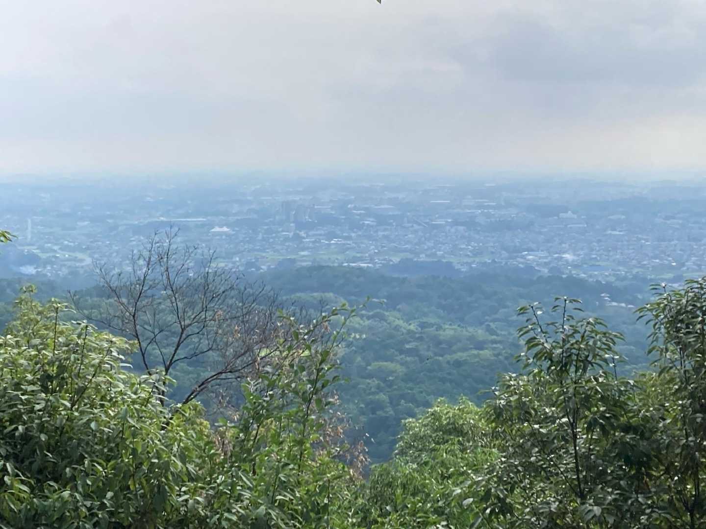 山頂からの景色