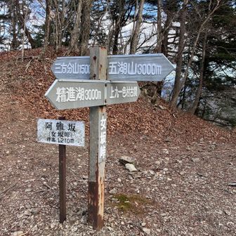 開始30分くらいでもう疲れた…リハビリ登山ですね