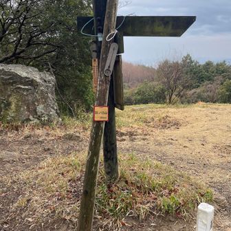 龍ノ口山　登頂！