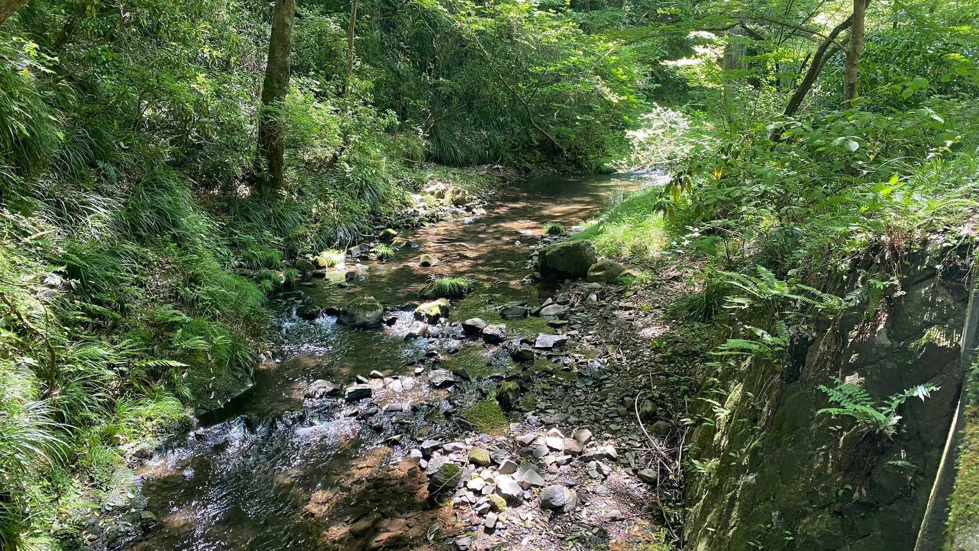 東登山口-御前山-西登山口 周回コースの写真