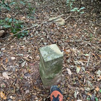 坊ケ峰　
三角点