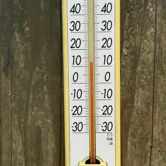 13℃はちょうどよい。

南阿蘇の寒さに耐えられるかしら😨