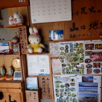 ハウスの中を覗いてみました。
こじんまり。
誰も居ません。