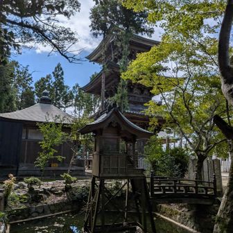 池の中に社