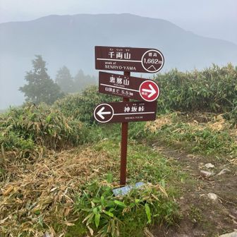 千両山まではあっという間
