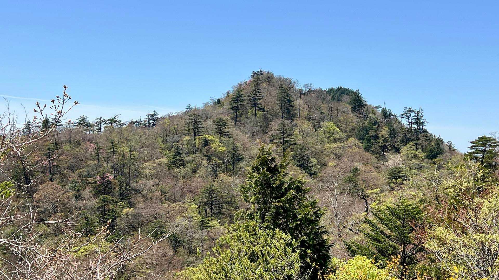 稲叢山の頂上付近