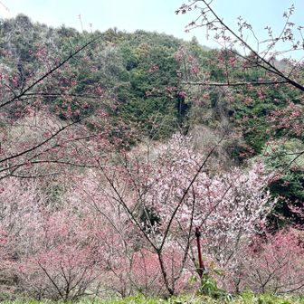 可愛い〜気持ちが和む🥰