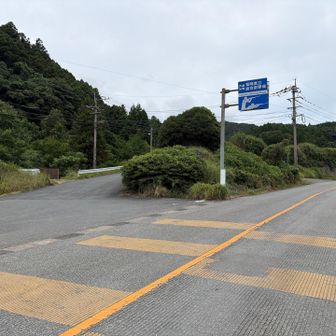 左の射撃場入口の方から来た