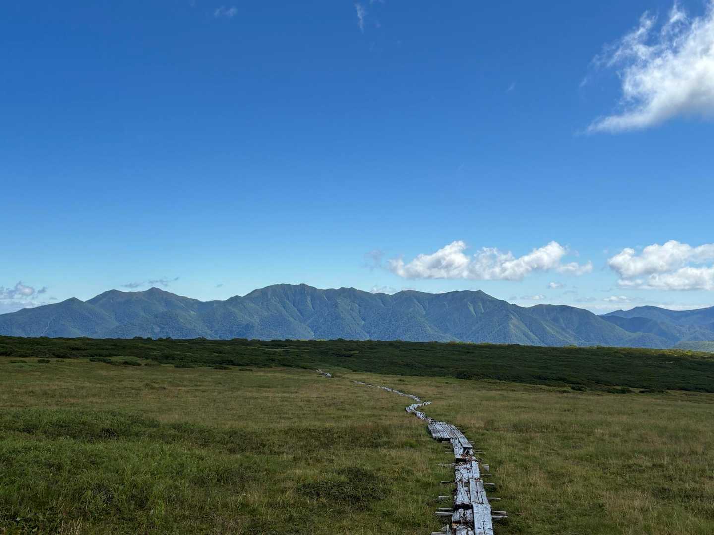 またまた振り返って✨
五色ヶ原は夏山ガイドにはチシマノキンバイソウが群生してるって書いていました
やっぱりその季節に見にこなくちゃ！
